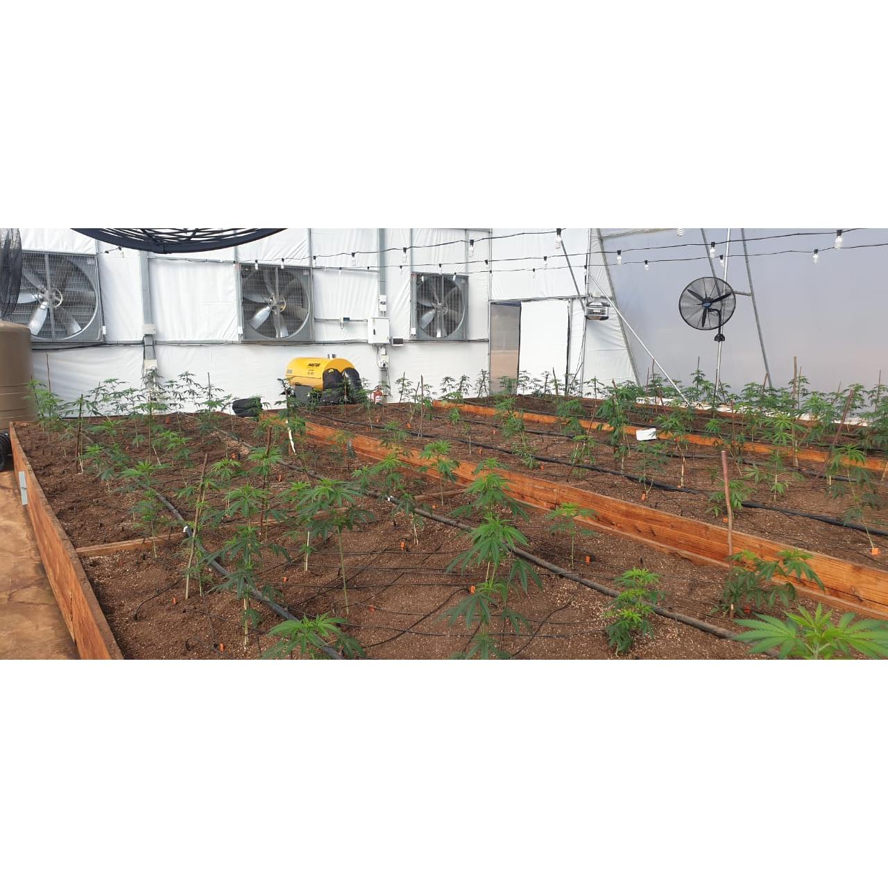 Produktbild 6